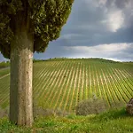 Querceto Di Castellina * Castellina in Chianti