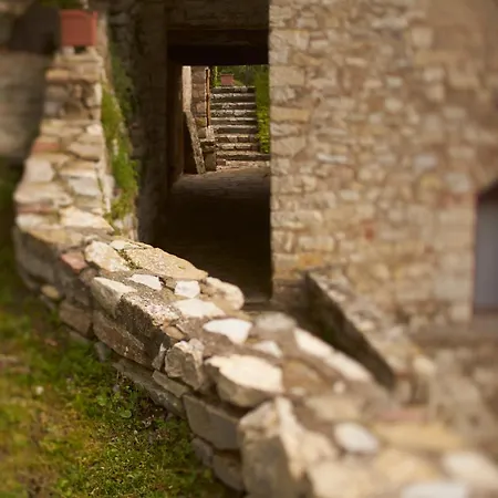 Querceto Di Castellina Castellina in Chianti