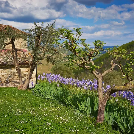 Querceto Di Castellina