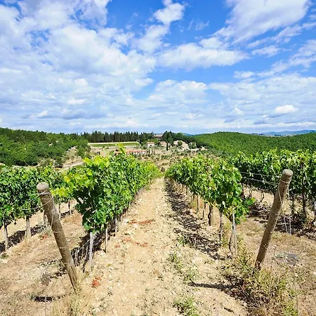 Querceto Di Castellina Farm stay