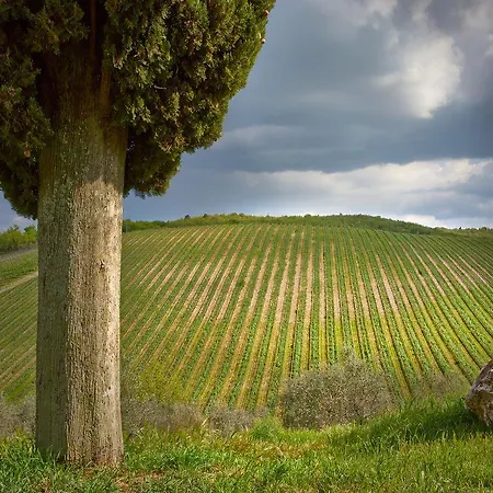 Querceto Di Castellina *