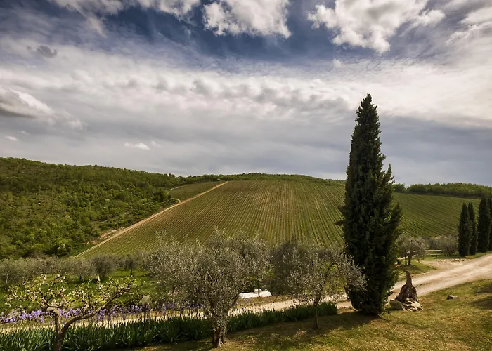 Querceto Di Castellina Bauernhof *