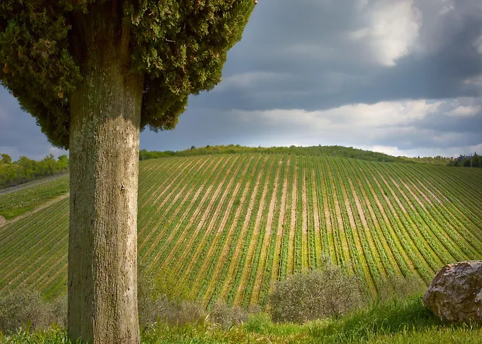 Querceto Di Castellina * Castellina in Chianti